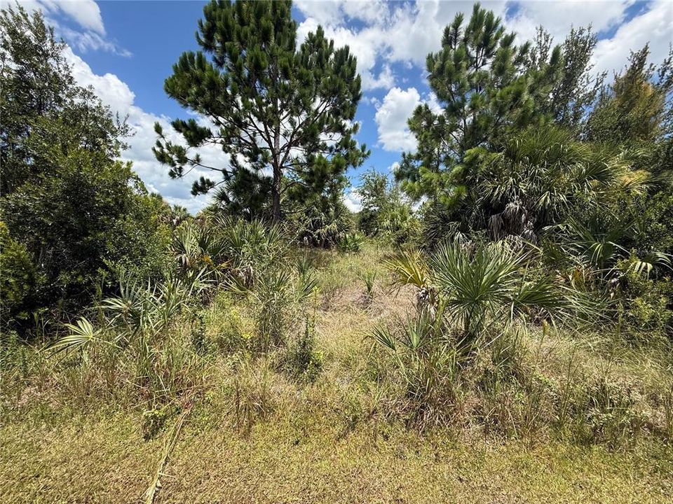 For Sale: $86,000 (0.23 acres)