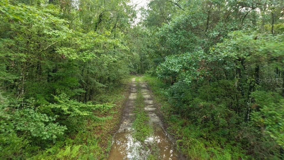 На продажу: $29,000 (0.48 acres)
