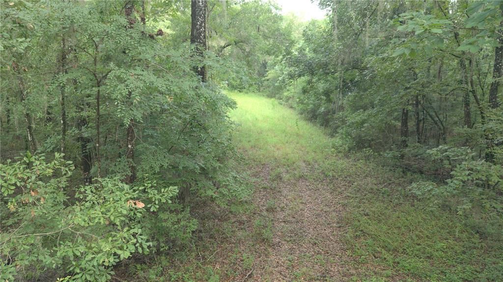 На продажу: $29,000 (0.48 acres)