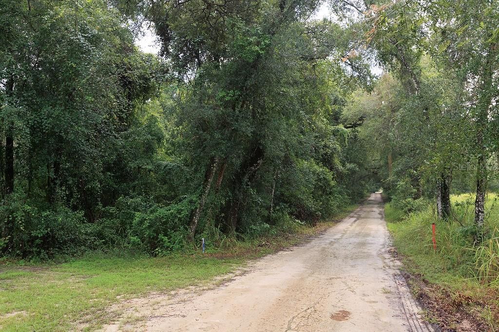 待售: $380,000 (9.00 acres)