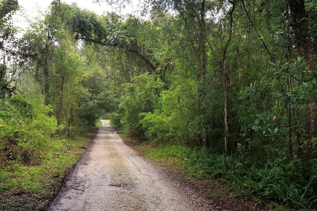 待售: $380,000 (9.00 acres)