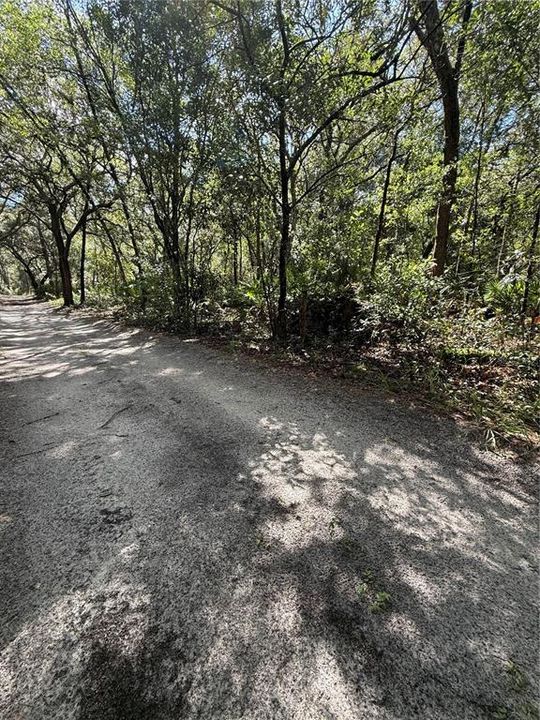 For Sale: $40,000 (1.25 acres)