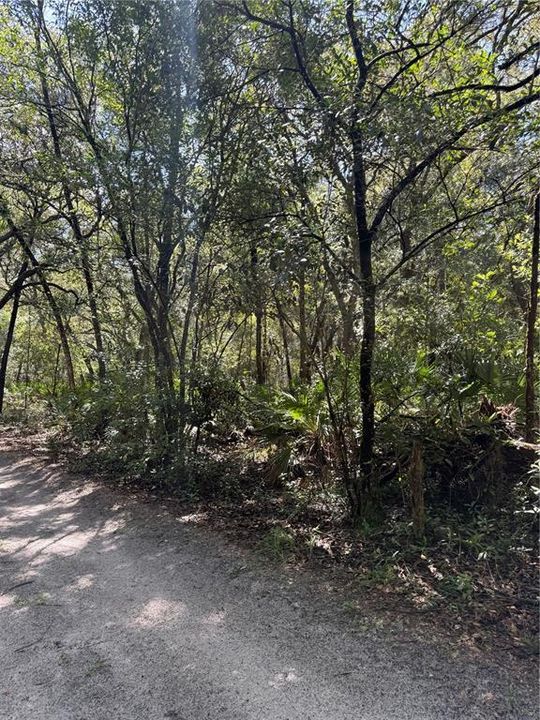For Sale: $40,000 (1.25 acres)