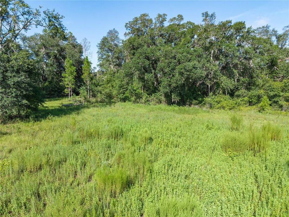 For Sale: $220,000 (20.00 acres)