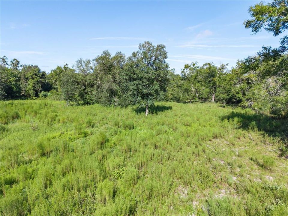 For Sale: $220,000 (20.00 acres)