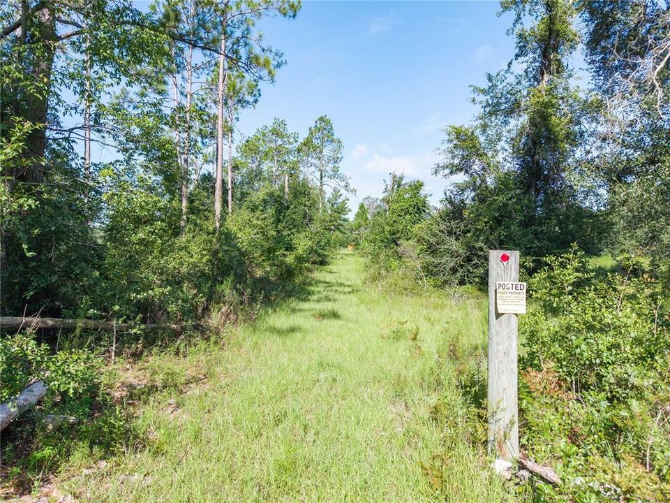 For Sale: $220,000 (20.00 acres)