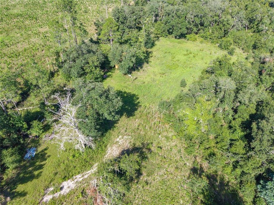 For Sale: $220,000 (20.00 acres)