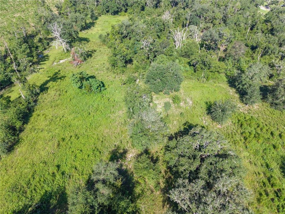 For Sale: $220,000 (20.00 acres)