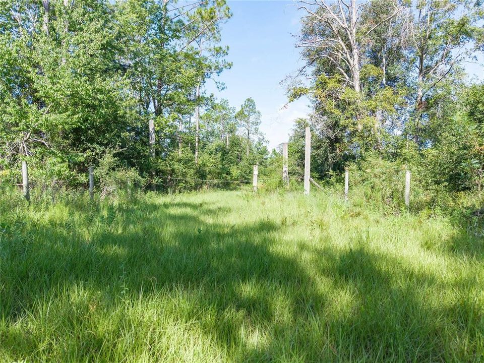 For Sale: $220,000 (20.00 acres)