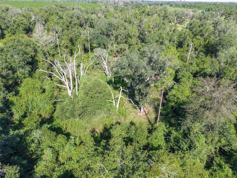 For Sale: $220,000 (20.00 acres)