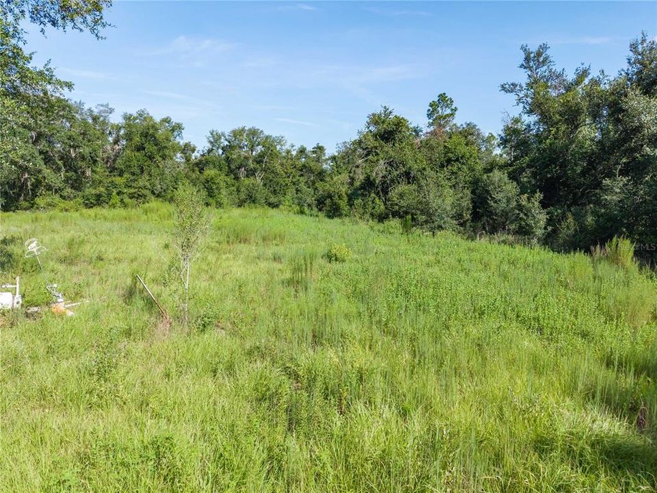 For Sale: $220,000 (20.00 acres)