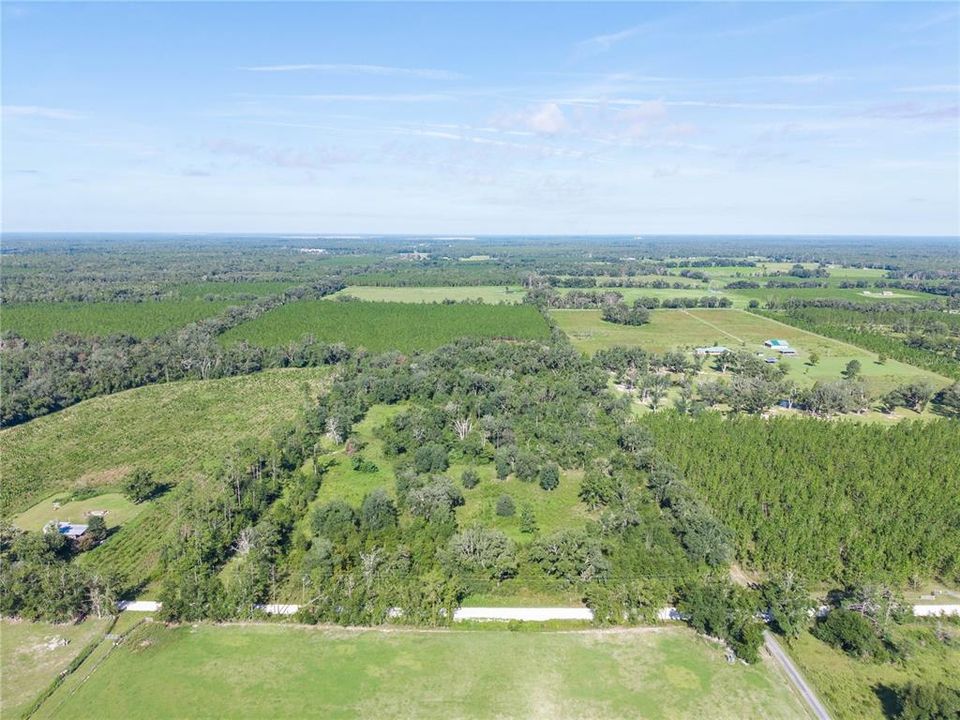 For Sale: $220,000 (20.00 acres)