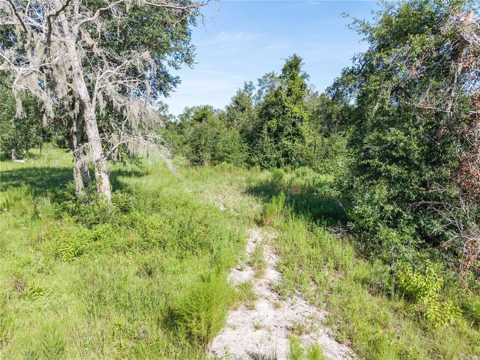 For Sale: $220,000 (20.00 acres)