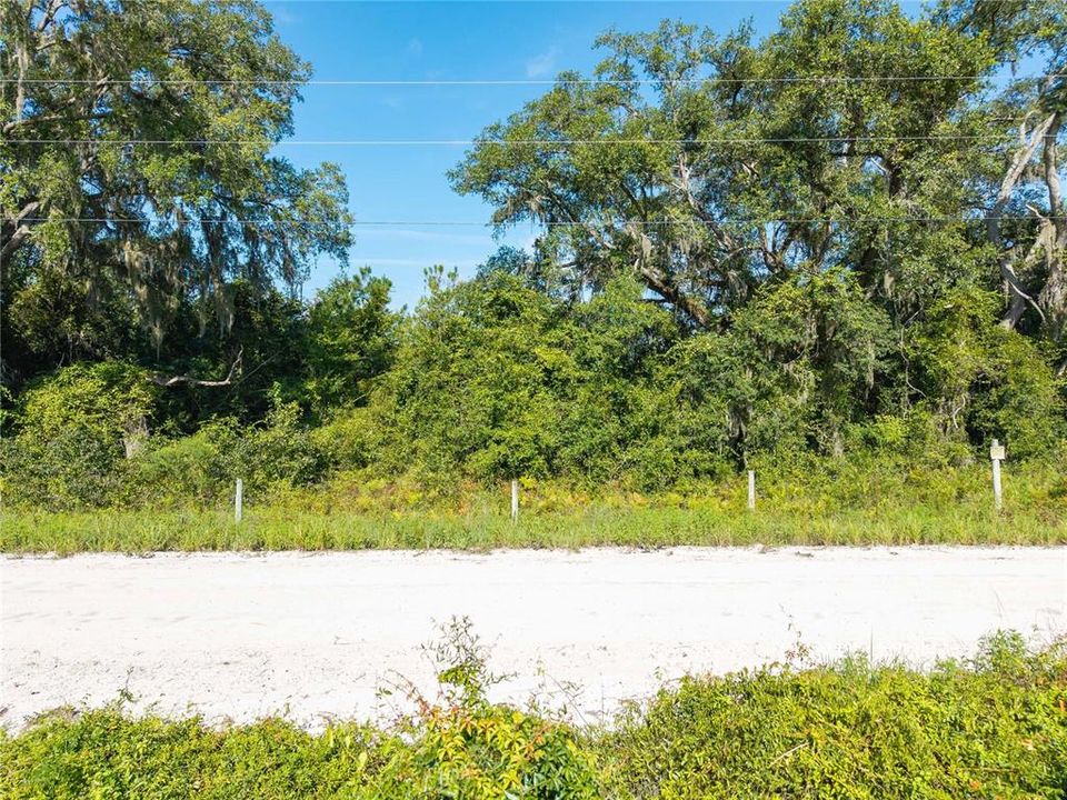 For Sale: $220,000 (20.00 acres)