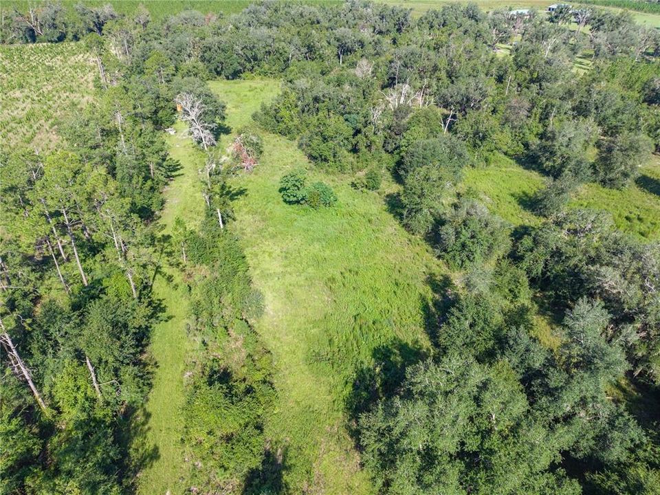 For Sale: $220,000 (20.00 acres)