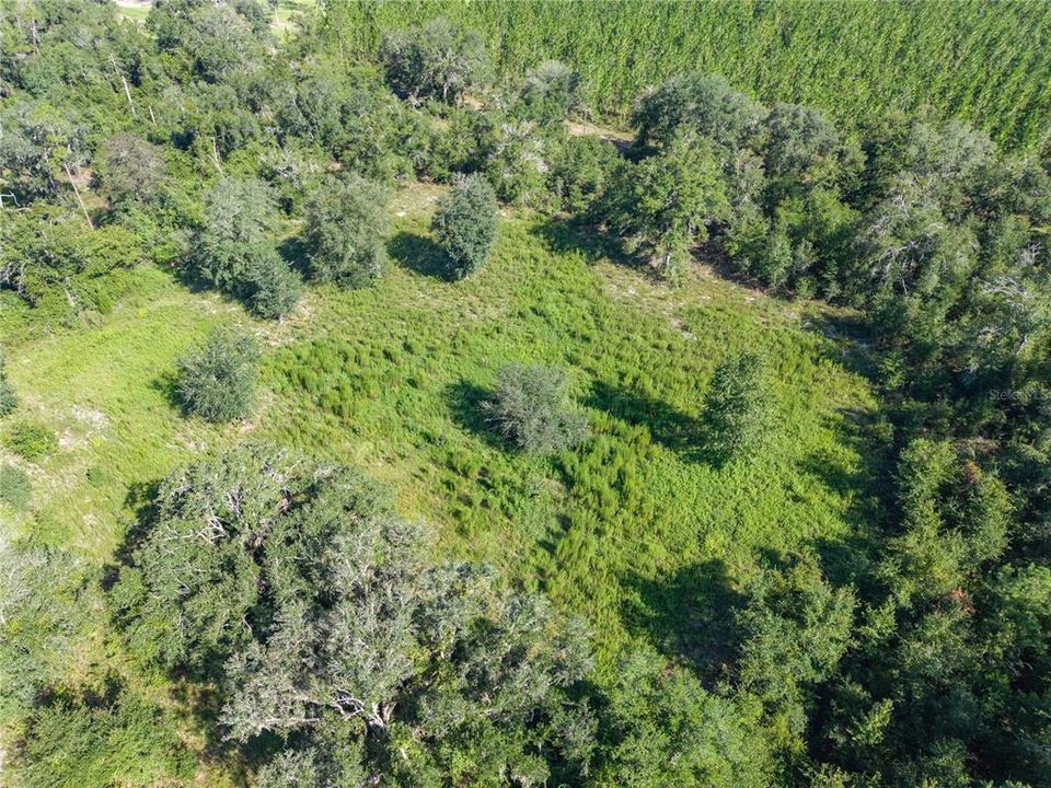 For Sale: $220,000 (20.00 acres)