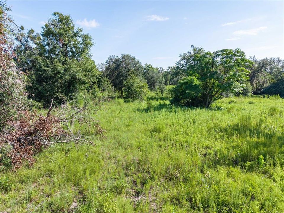 For Sale: $220,000 (20.00 acres)