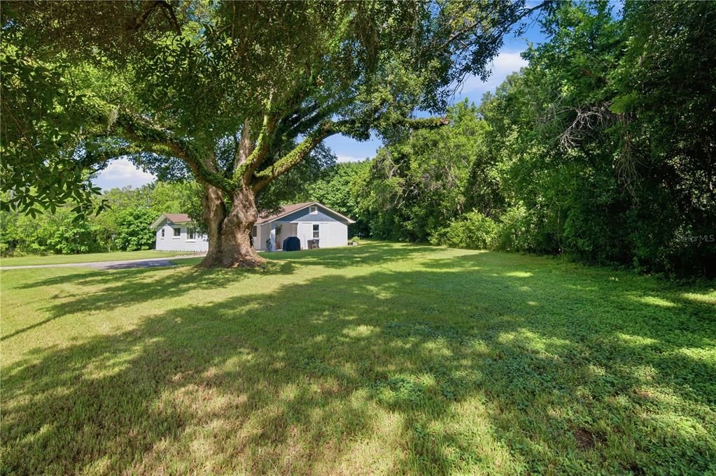 For Sale: $314,900 (4 beds, 2 baths, 1535 Square Feet)