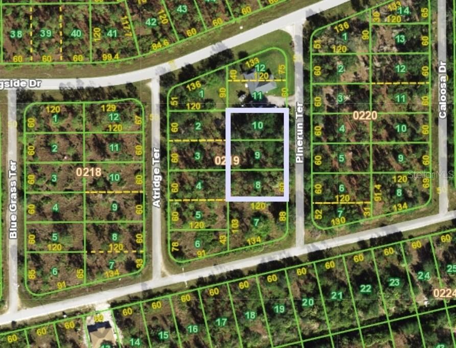 На продажу: $39,000 (0.49 acres)