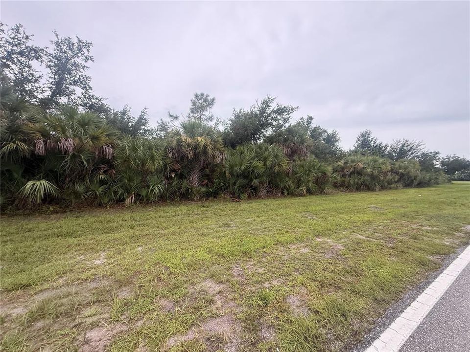 For Sale: $20,000 (0.23 acres)