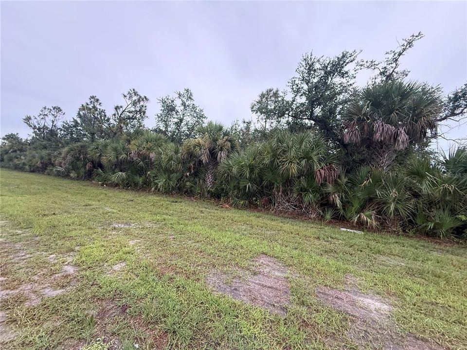 For Sale: $20,000 (0.23 acres)