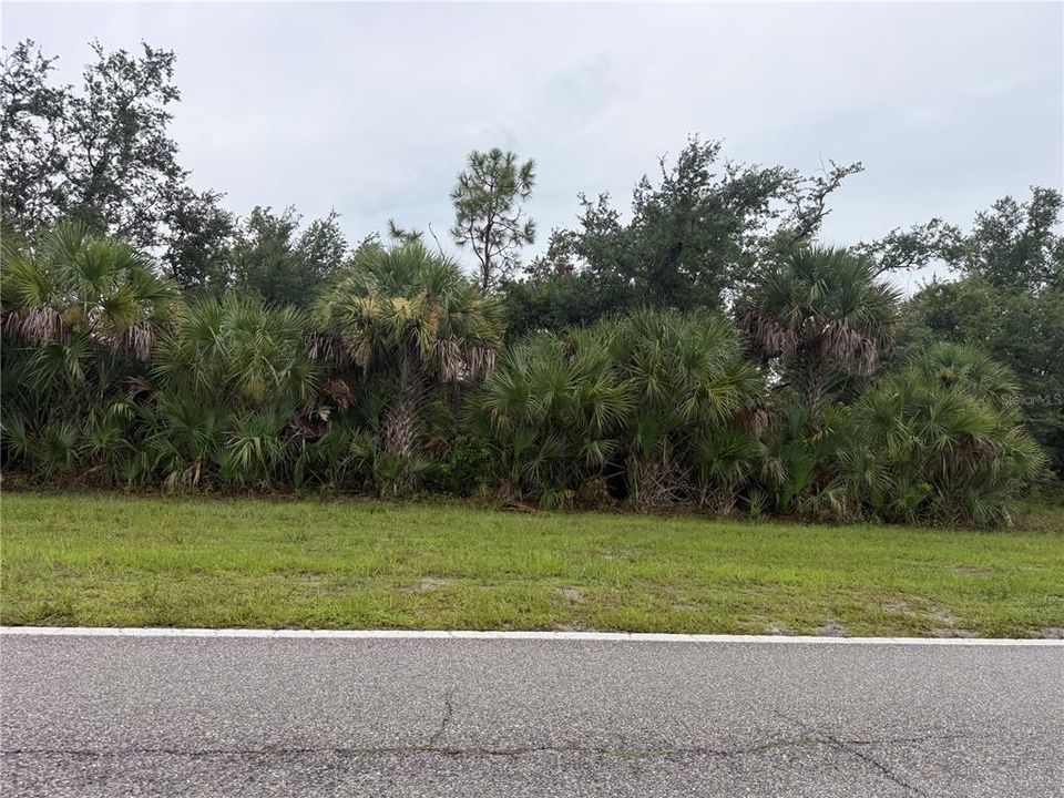 For Sale: $20,000 (0.23 acres)