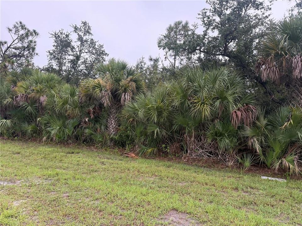 For Sale: $20,000 (0.23 acres)