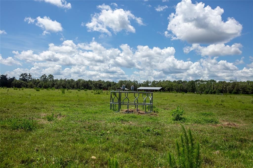 待售: $1,100,000 (121.85 acres)