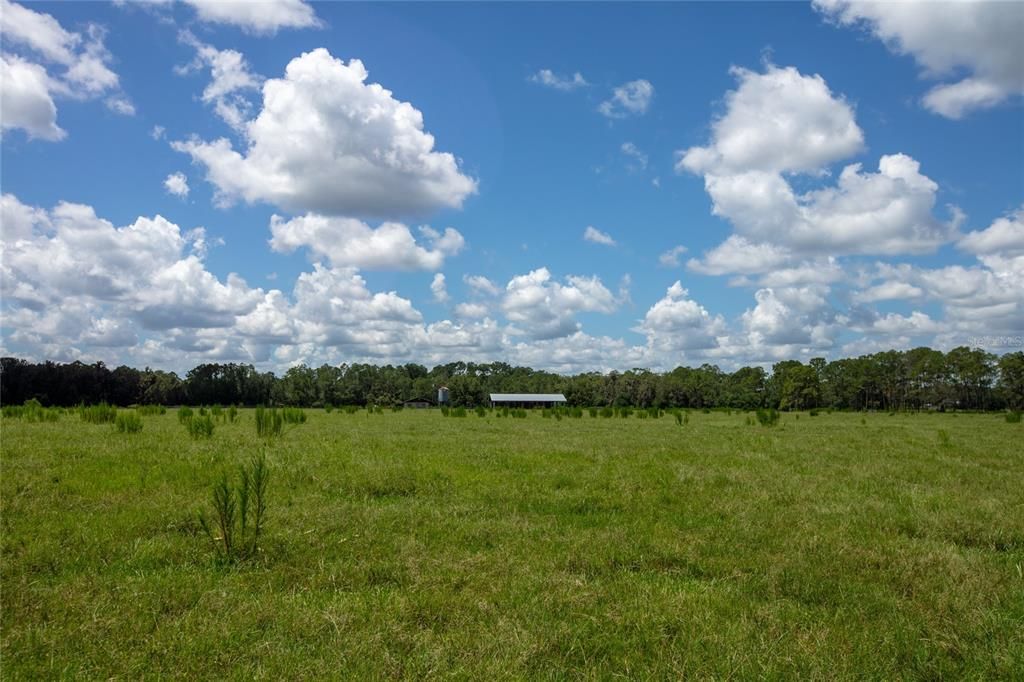 待售: $1,100,000 (121.85 acres)