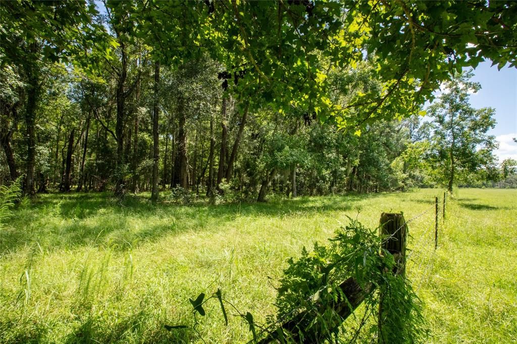 待售: $1,100,000 (121.85 acres)