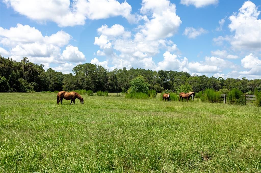 待售: $1,100,000 (121.85 acres)