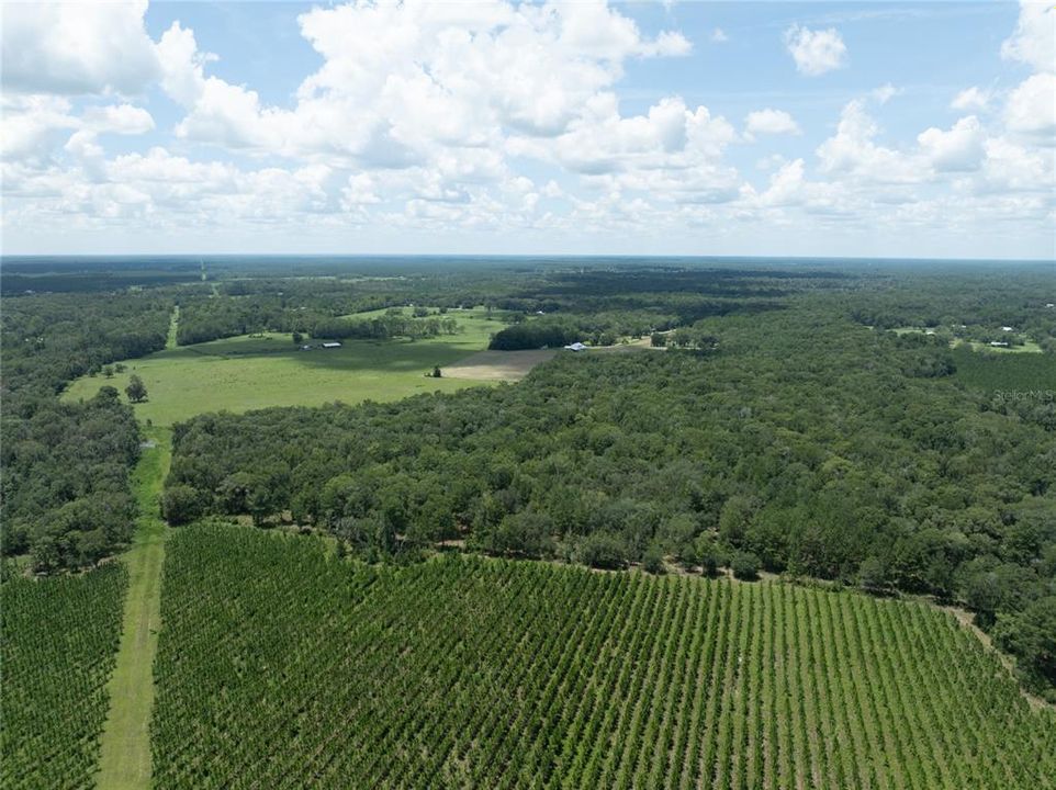 待售: $1,100,000 (121.85 acres)
