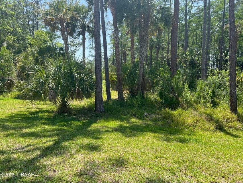 For Sale: $320,000 (5.05 acres)