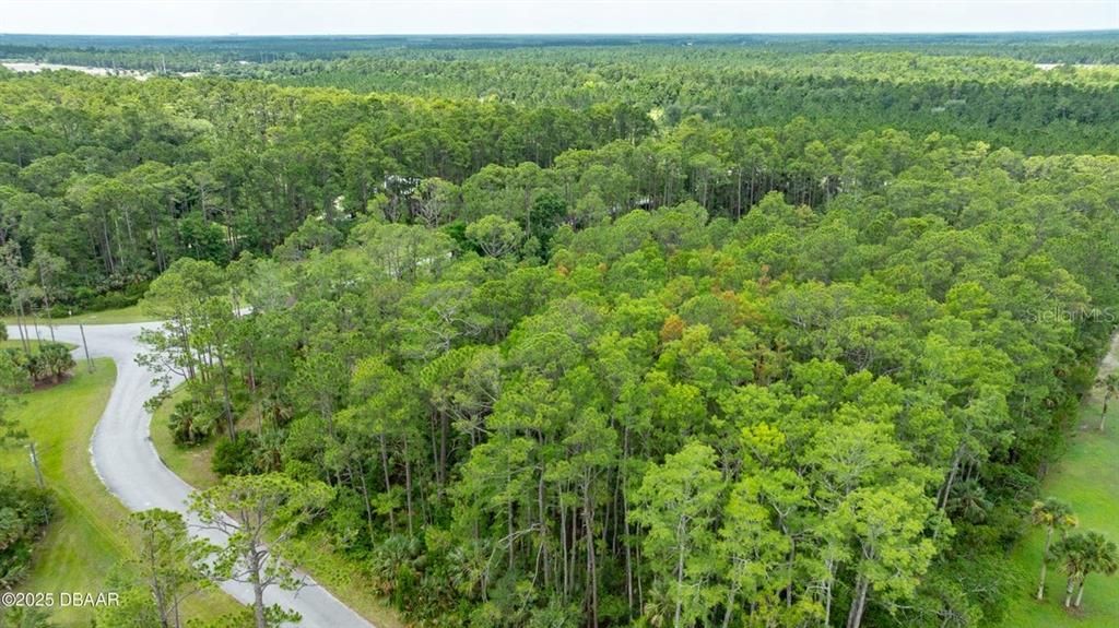 For Sale: $320,000 (5.05 acres)