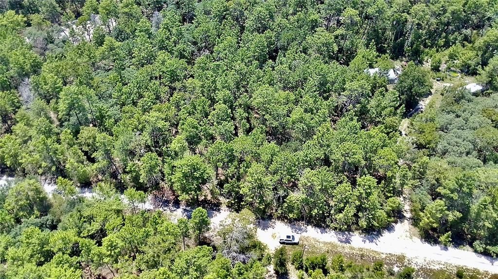 For Sale: $99,000 (5.01 acres)