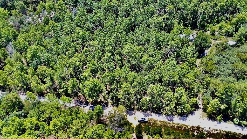 For Sale: $99,000 (5.01 acres)