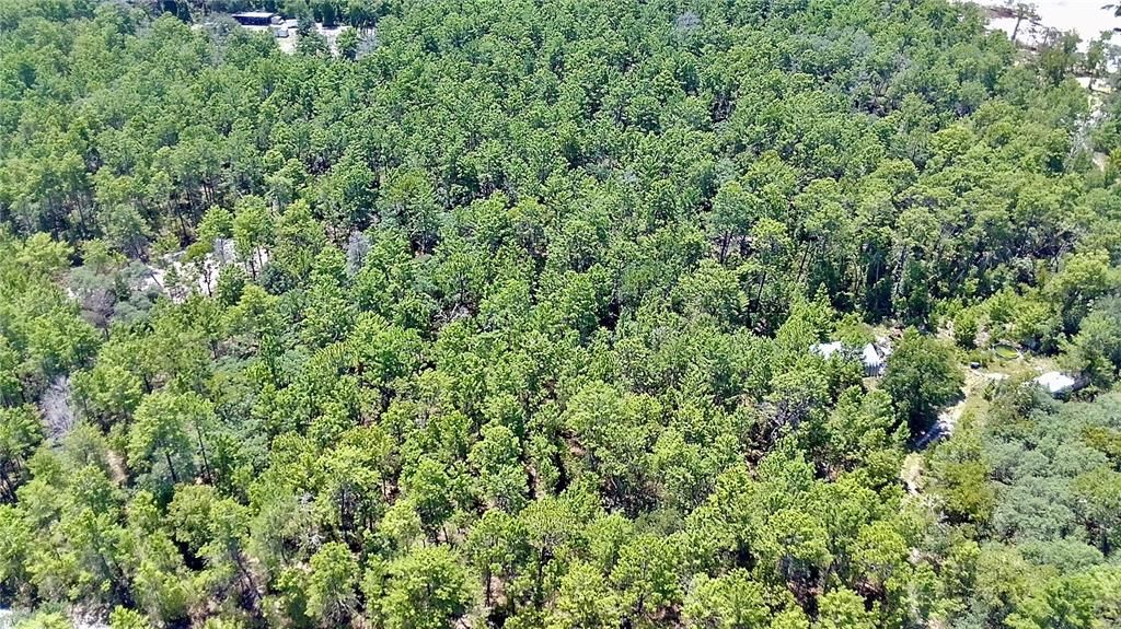 For Sale: $99,000 (5.01 acres)
