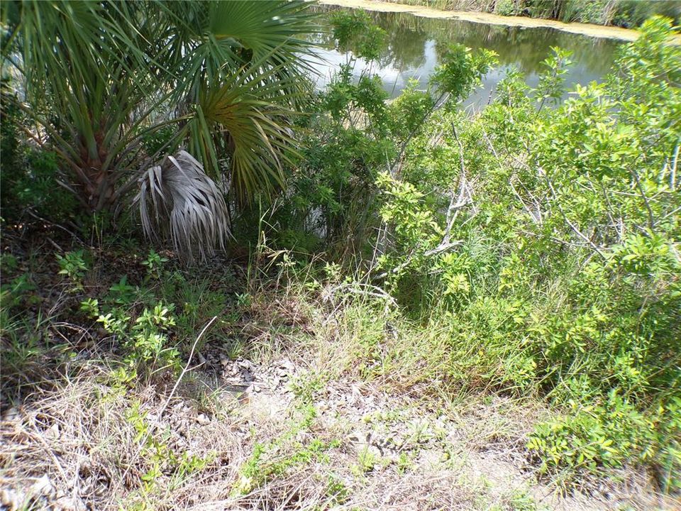 For Sale: $57,000 (0.23 acres)