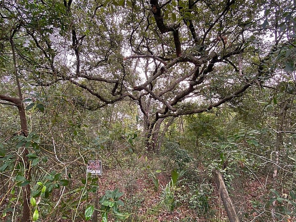 En Venta: $26,000 (0.26 acres)