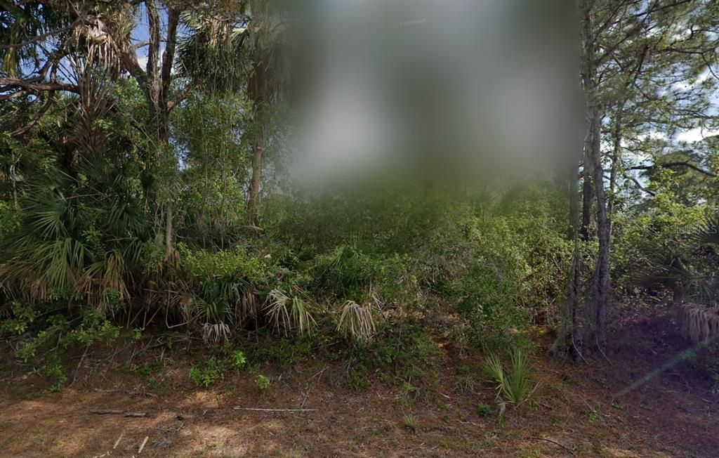Activo con contrato: $15,900 (0.23 acres)