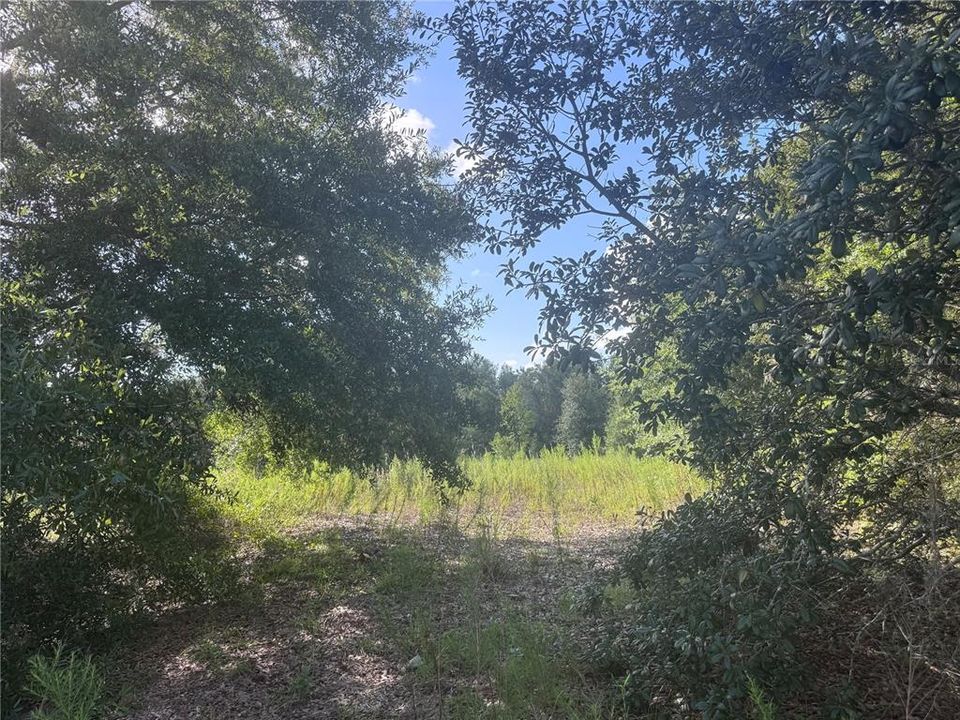 En Venta: $12,000 (0.26 acres)