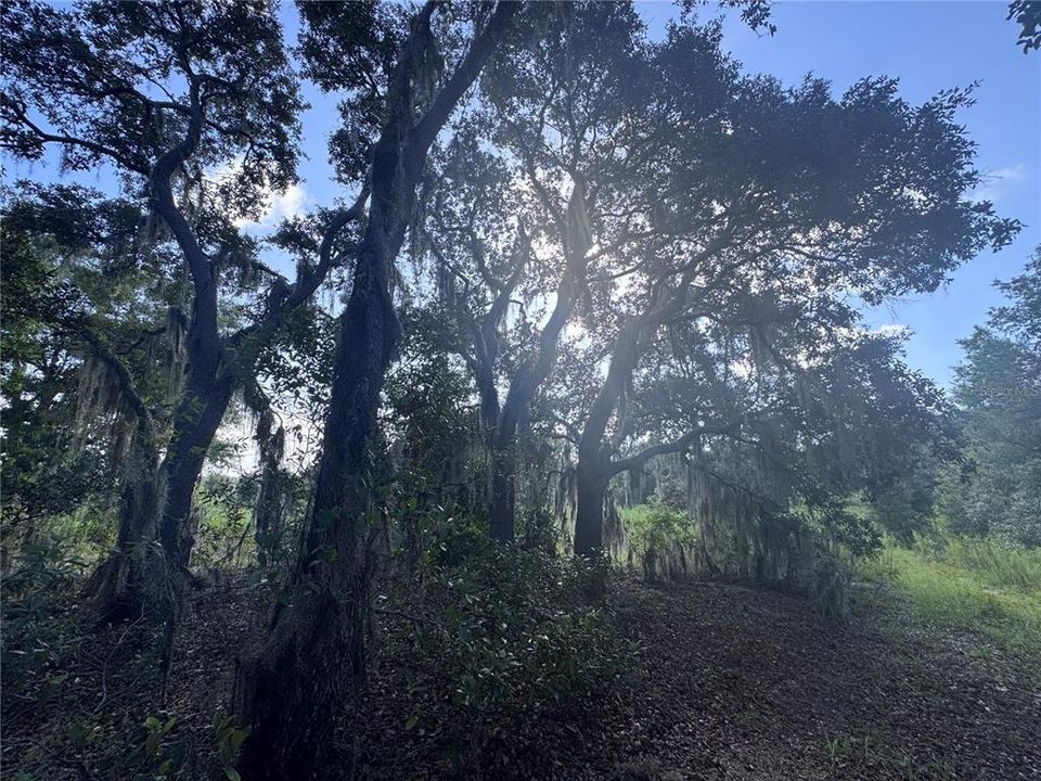 En Venta: $12,000 (0.26 acres)