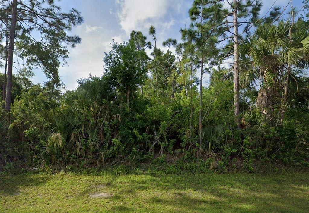 For Sale: $20,000 (0.23 acres)