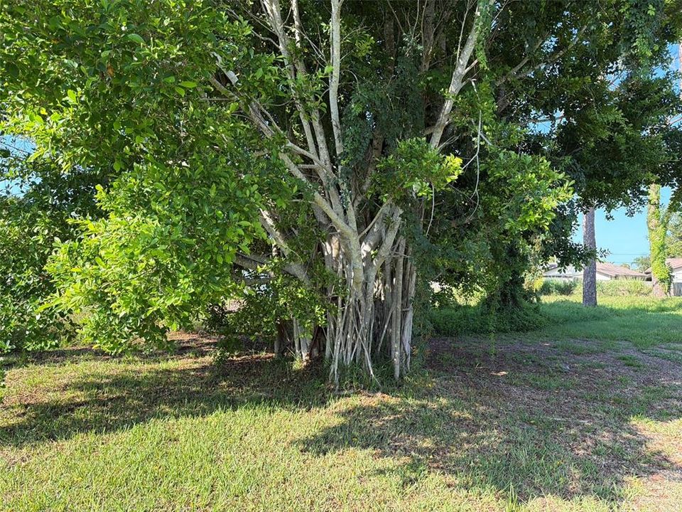 For Sale: $59,900 (0.18 acres)