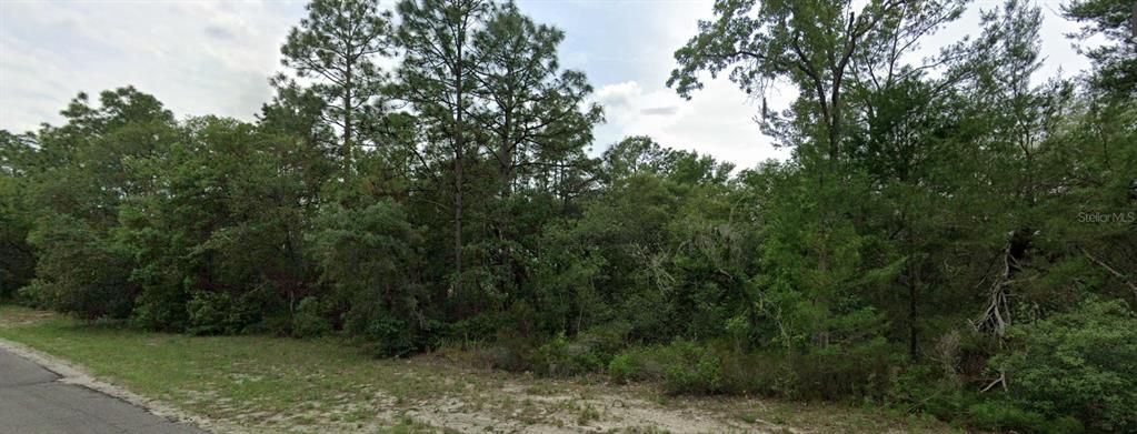 For Sale: $40,000 (1.25 acres)
