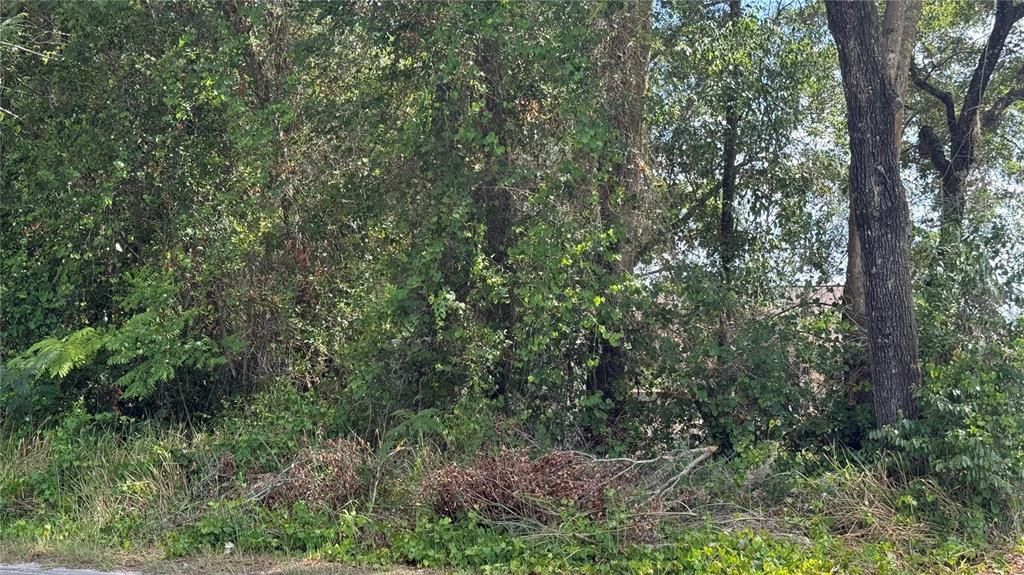 For Sale: $15,000 (0.07 acres)