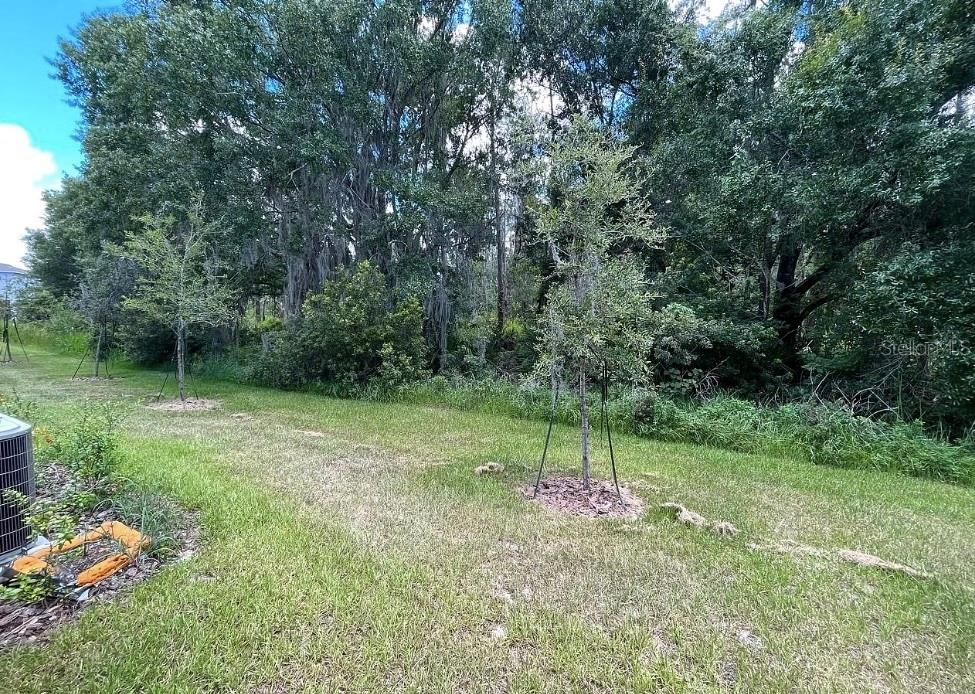 For Rent: $2,200 (3 beds, 2 baths, 1673 Square Feet)