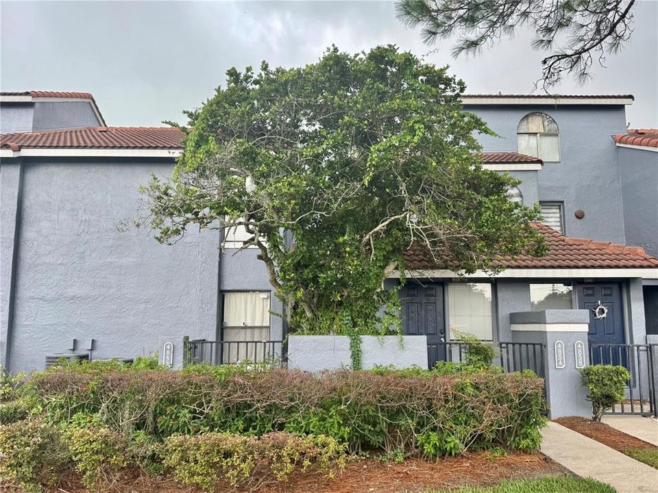 For Rent: $1,800 (2 beds, 2 baths, 934 Square Feet)