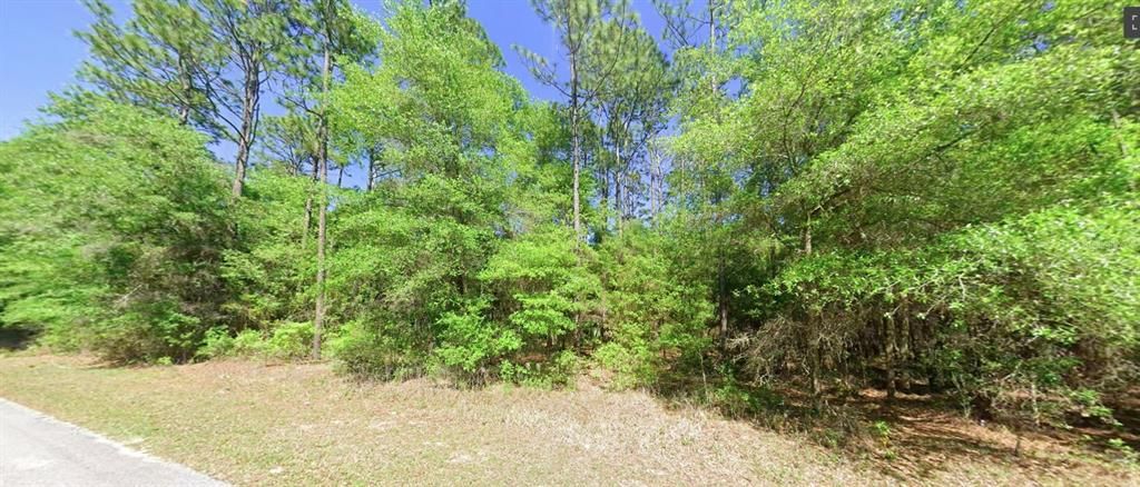 待售: $35,000 (0.95 acres)