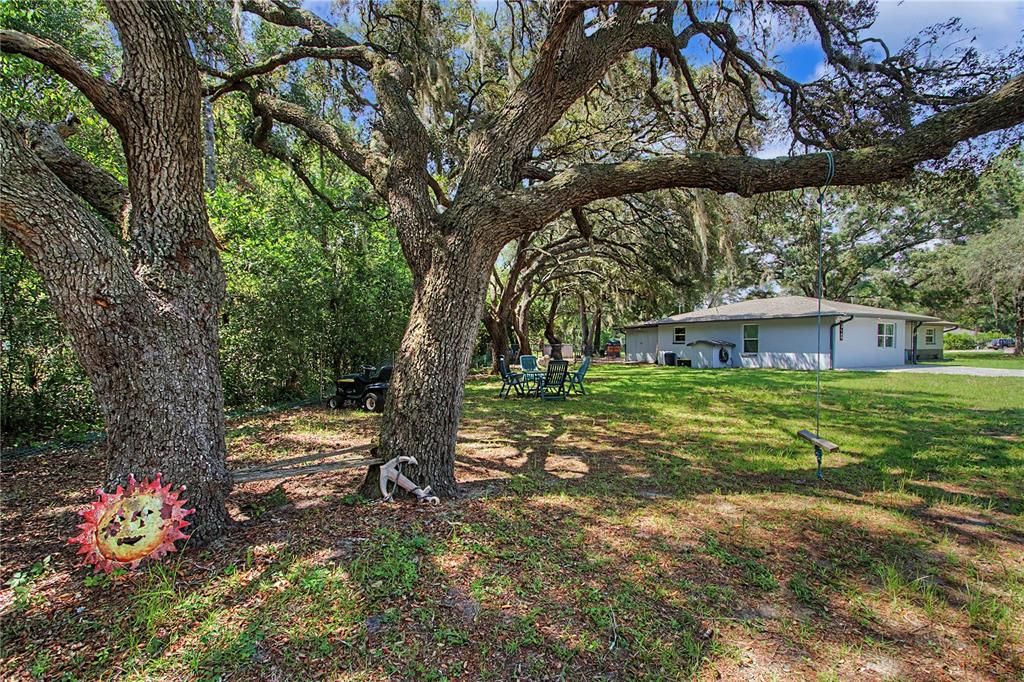 For Sale: $296,900 (4 beds, 1 baths, 1775 Square Feet)